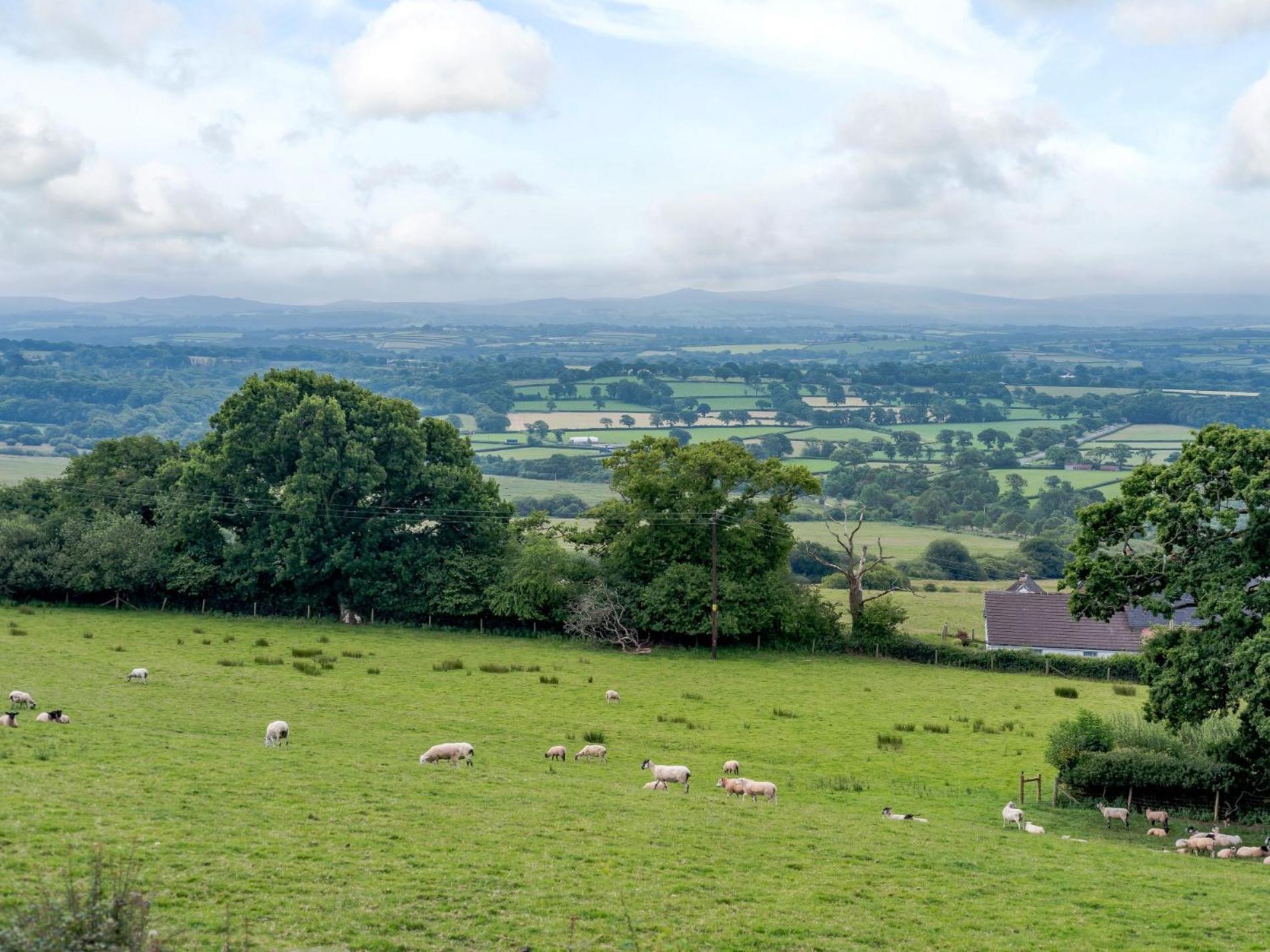 1 Bed In Hatherleigh 78799 Luaran gambar